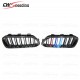 M COLOR CARBON FIBER FRONT GRILLE FOR 2016-2017 BMW 1 SERIES F20 M COLOR CARBON FIBER FRONT GRILLE FOR 2016-2017 BMW 1 SERIES F20