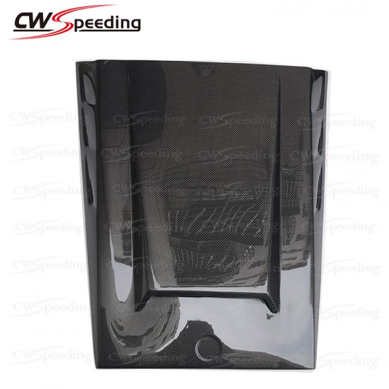 BRABU STYLE CARBON FIBER HOODFOR MERCEDES-BENZ G-CLASS W463 G55 BRABU STYLE CARBON FIBER HOODFOR MERCEDES-BENZ G-CLASS W463 G55